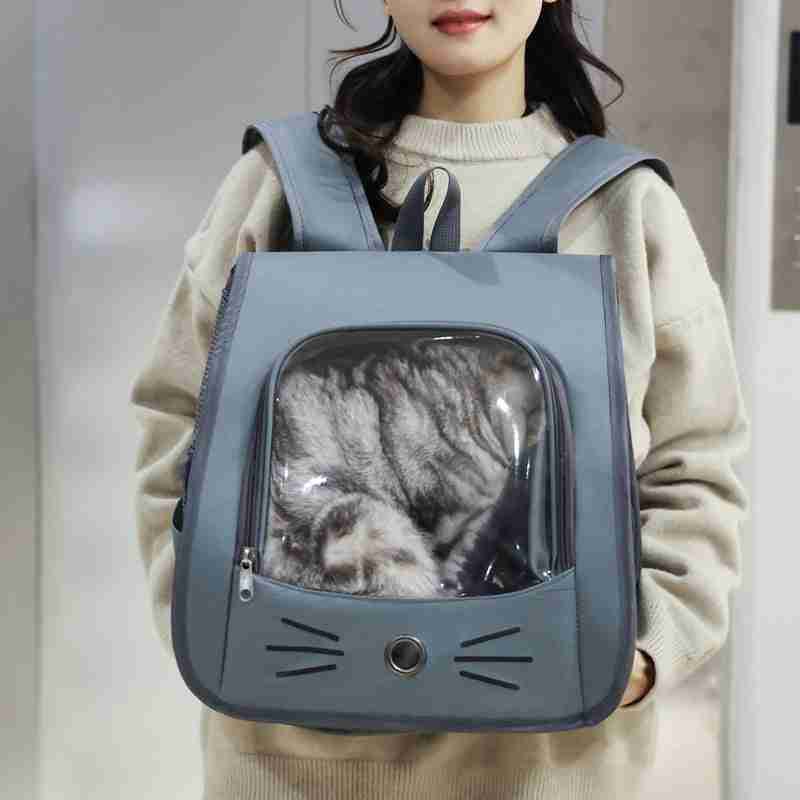 Person Carrying Cat Carrier Backpack