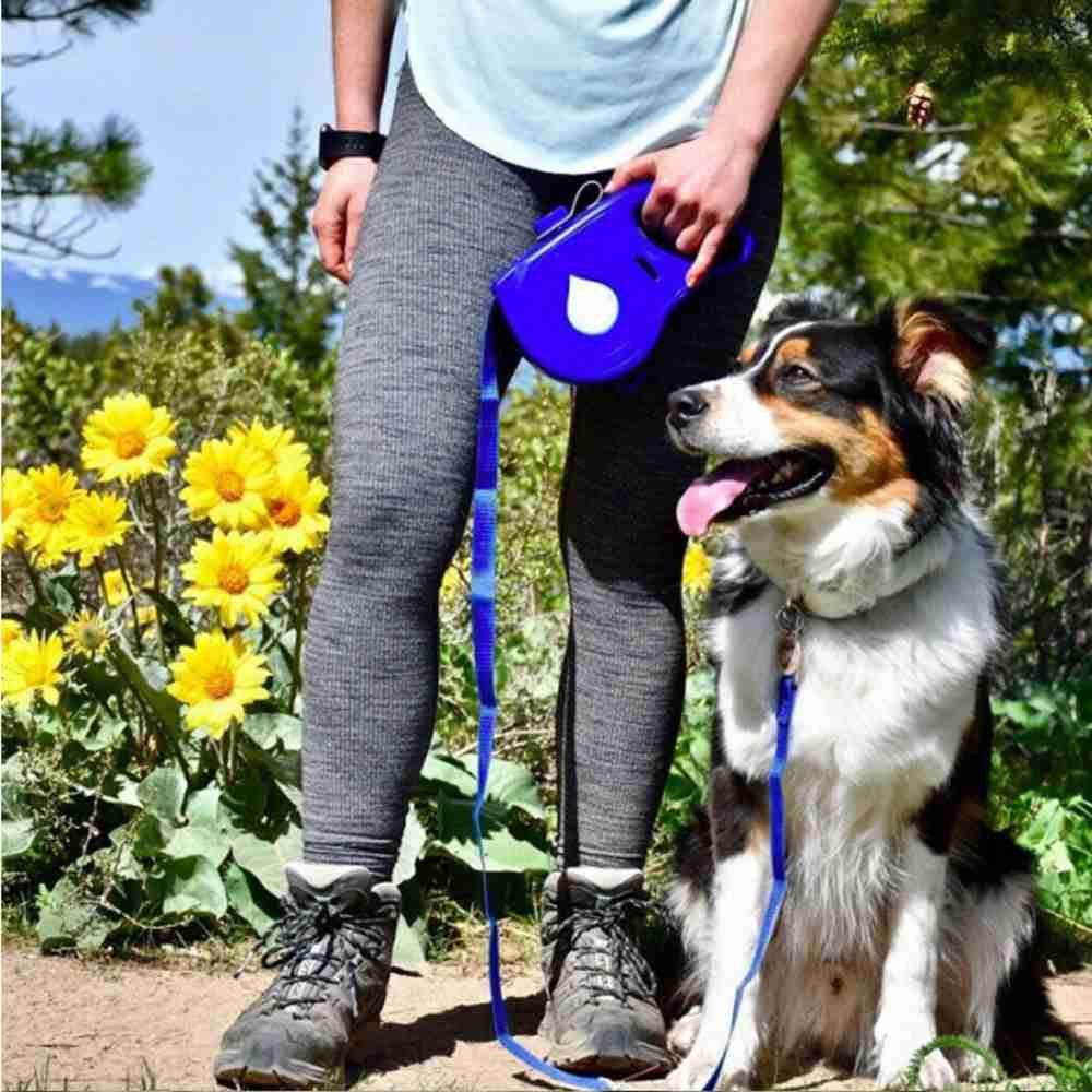 Retractable dog leash with handle and leash