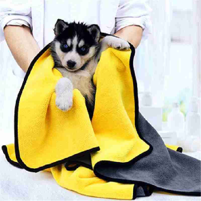 Pet puppy with yellow towel