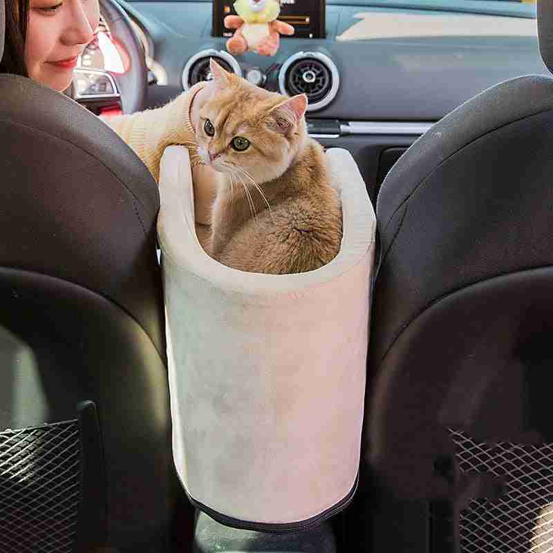 Dog carrier in car with owner
