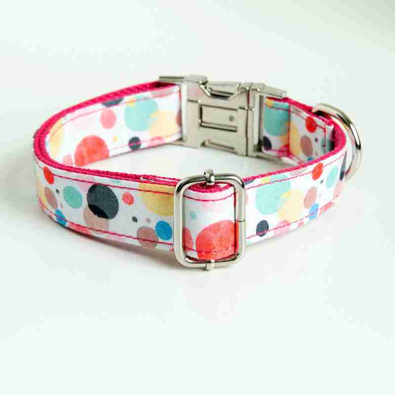 Colorful pet collar