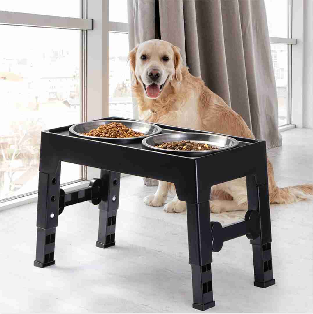 Elevated pet feeding bowl with dual stainless steel dishes and black stand