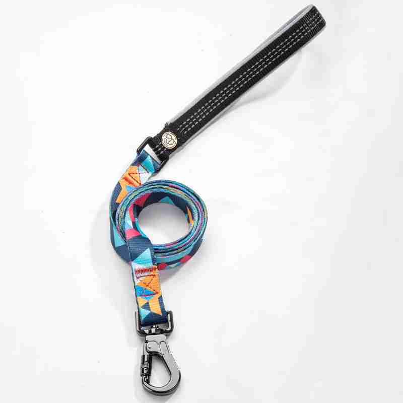 Leash with metal clip and pattern