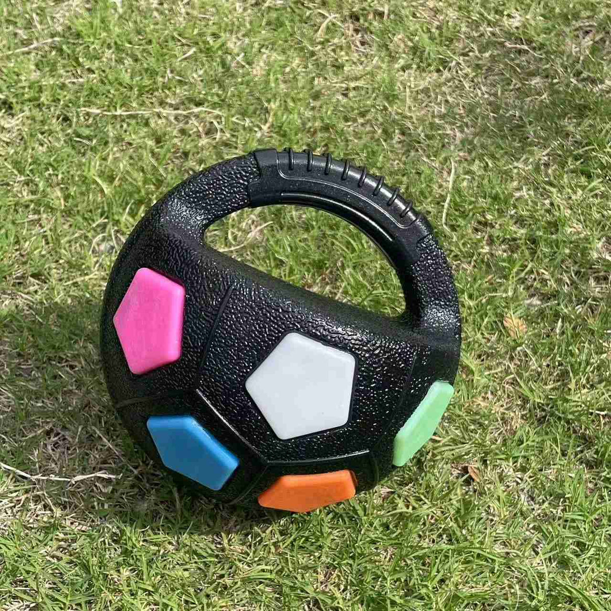 Colorful football tennis ball-shaped pet toy on grass