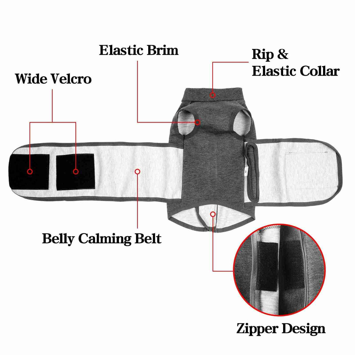 Pet jacket with zipper and elastic collar
