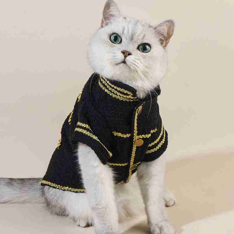 trendy dog jacket for small dogs – golden thread pet coat
