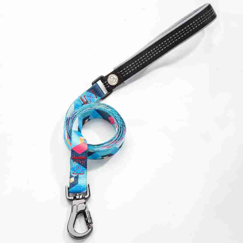 Stylish dog leash with black handle