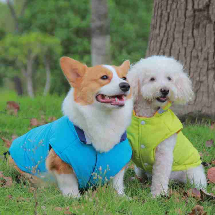Pet jackets with reflective double-sided design for visibility