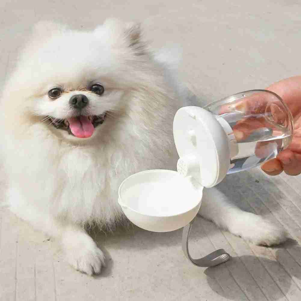 Portable pet water bottle with bowl for travel
