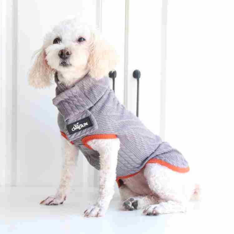 Dog in gray knit sweater