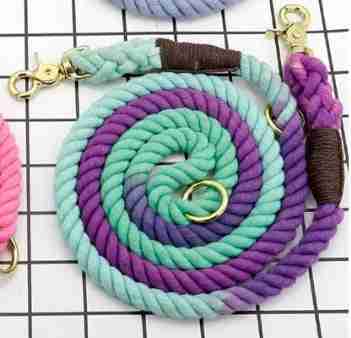 Colorful cotton pet leash on grid
