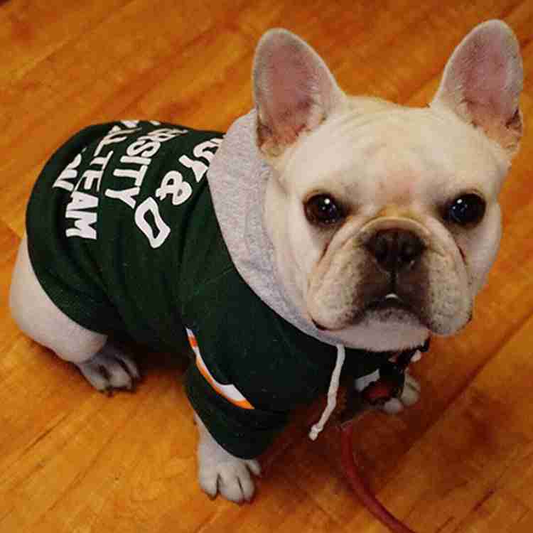 Fleece pet sweater for dogs, stylish and warm pet apparel