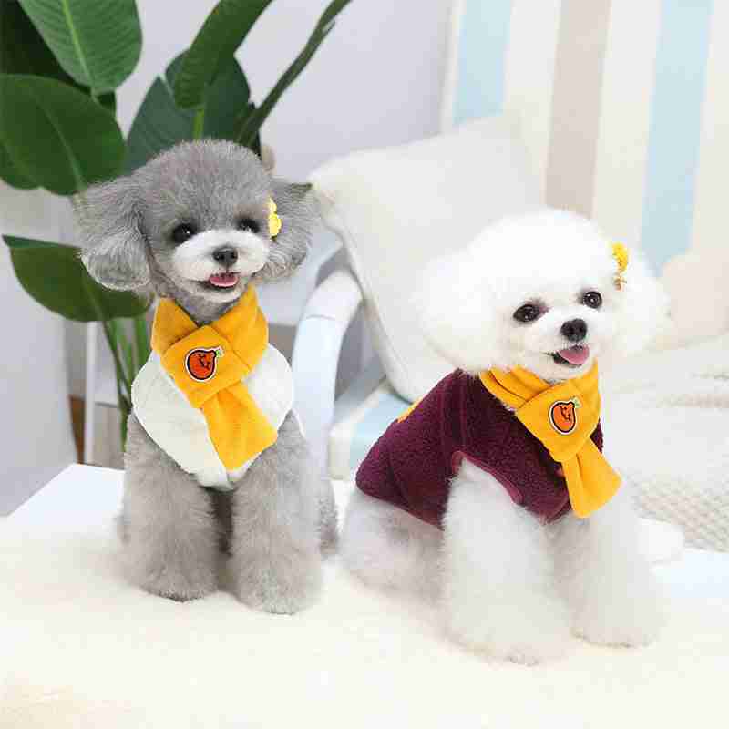Pet clothes teddy jacket