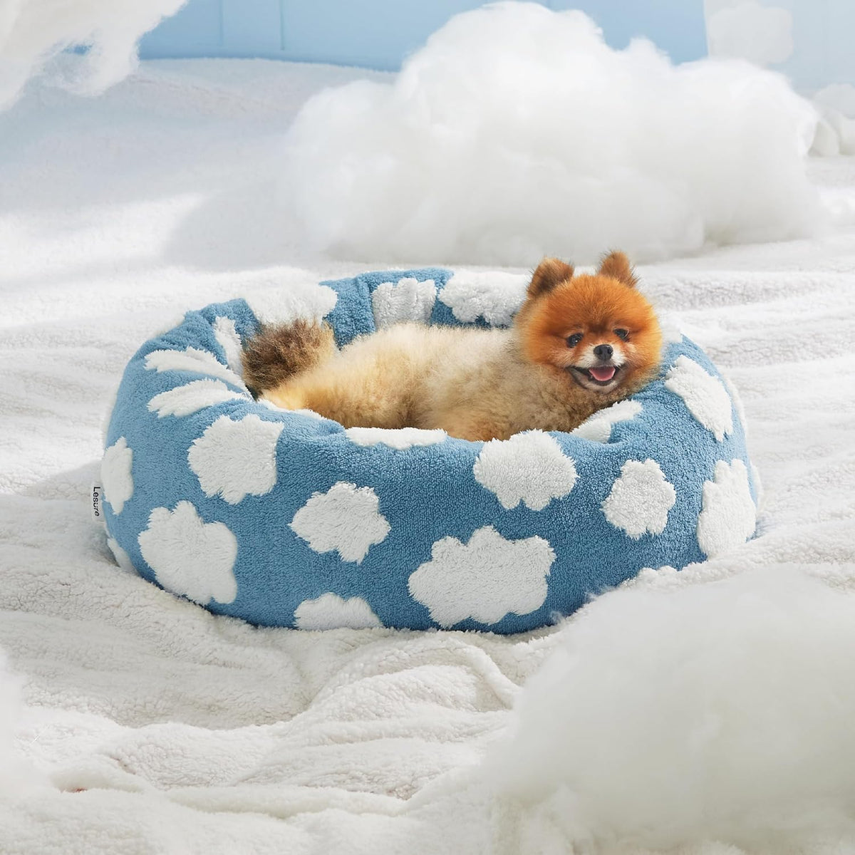 Small fluffy dog lying in blue and white cloud-patterned pet bed