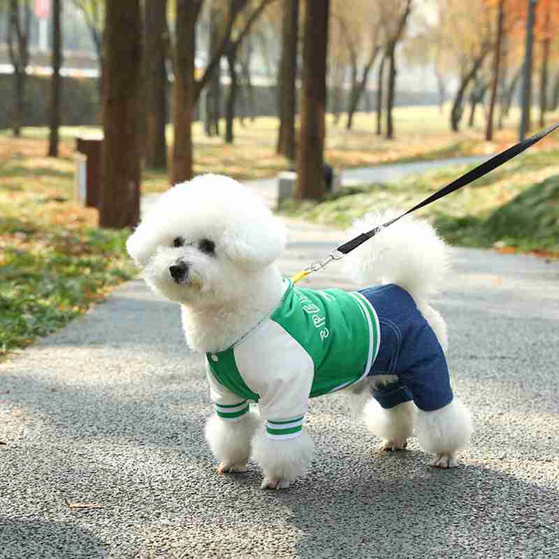 Pet four-legged fashion sweater for dogs