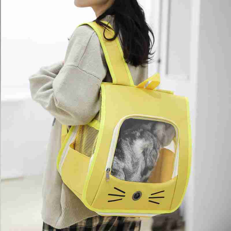 Pet Carrier Backpack with Cat Inside