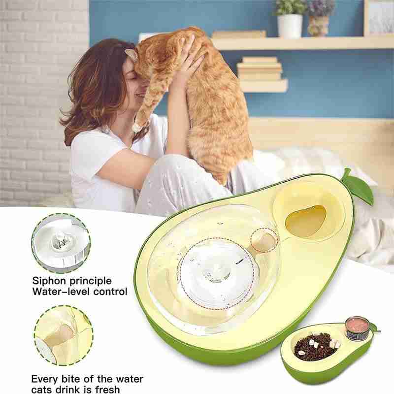 Pet feeding bowl with food and water sections, designed for cats