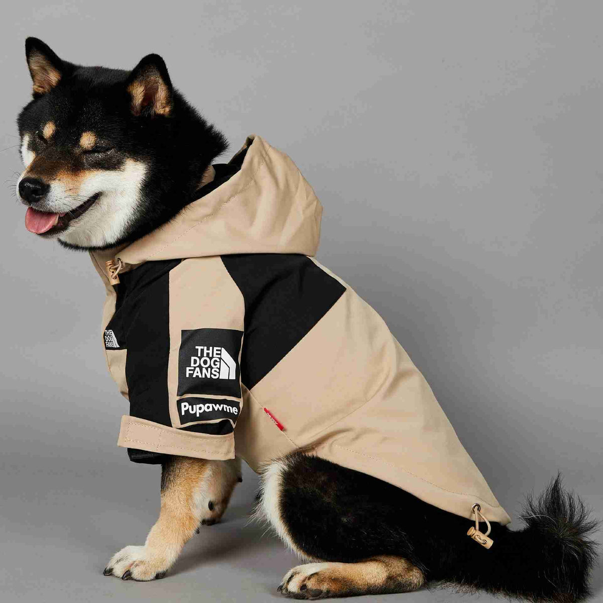 Side view of dog wearing beige and black pet shell jacket