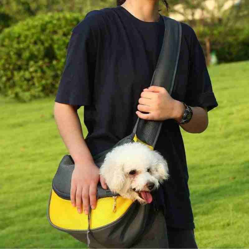 Pet carrier shoulder bag with dog inside