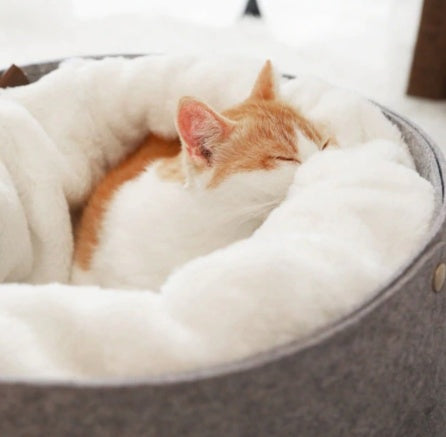 Cat sleeping in cozy pet bed with detachable nest