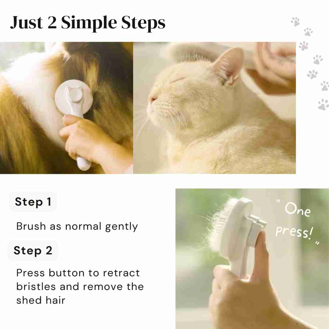 Pet grooming brush for cats and dogs