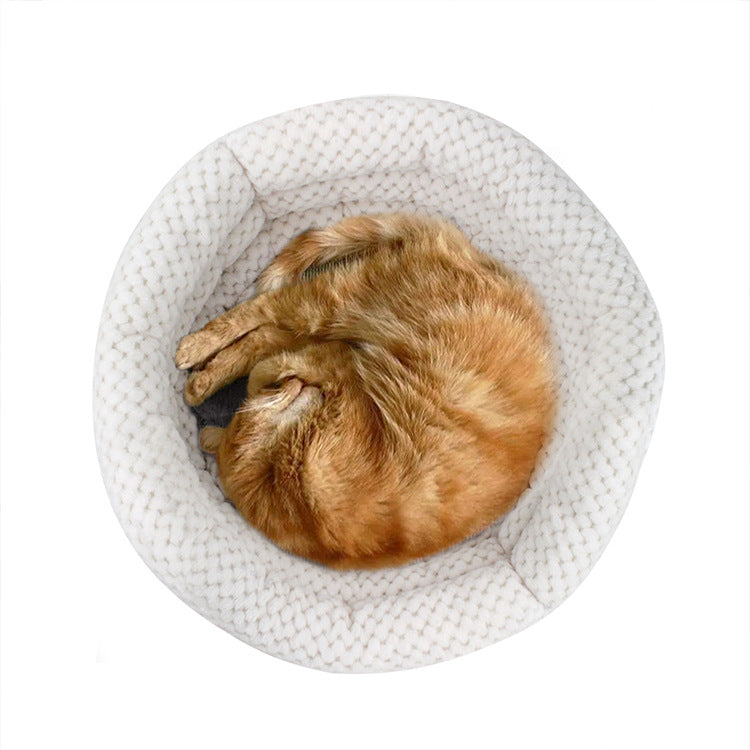 Dog curled in plush velvet pet bed