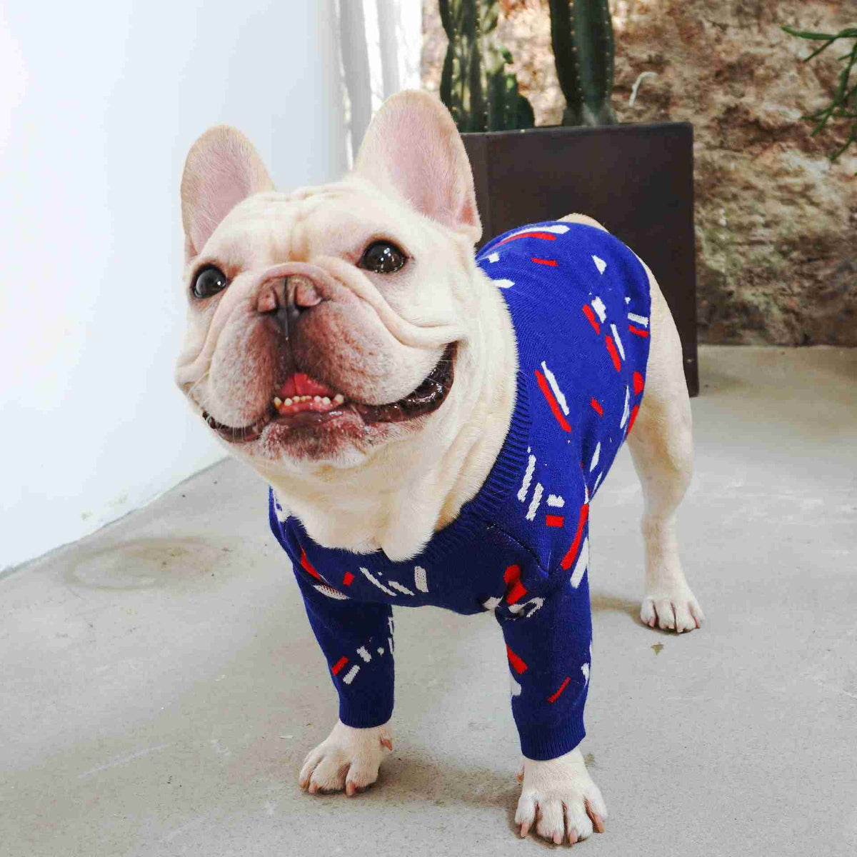 Blue dog sweater with red and white pattern