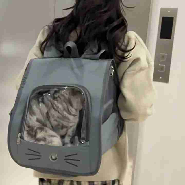 Pet Carrier Backpack with Cat Inside