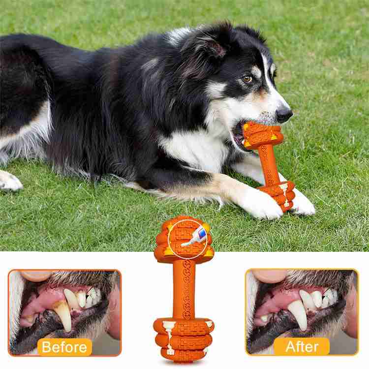durable dog chew toy for aggressive chewers – dumbbell shape
