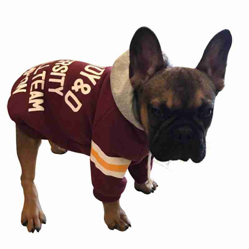 Fleece pet sweater for dogs with stylish text and stripes