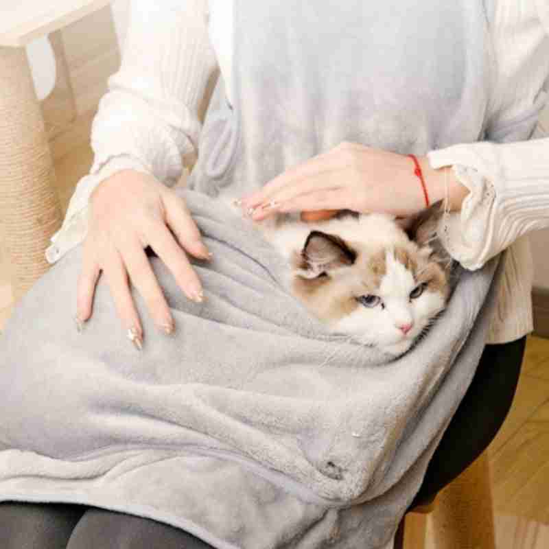Pet carrier bag with cat inside, soft gray plush material