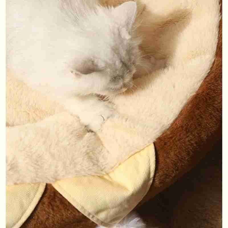 Round Winter Warm Deep Sleep Cushion Pet Bed
