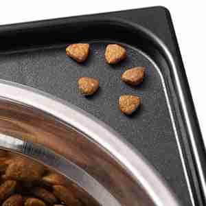 Close-up of stainless steel pet food bowl on elevated feeding stand