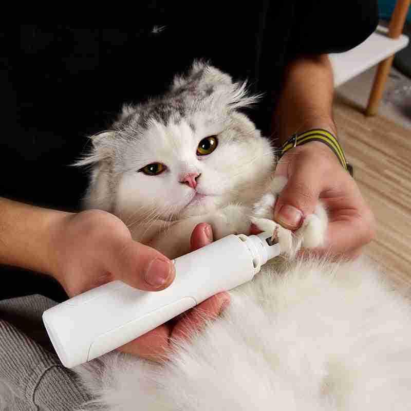 Pet grooming nail trimmer with electric device and grooming accessories