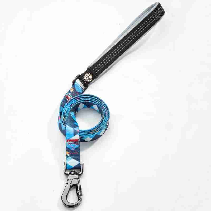 Dog leash polyester with black handle
