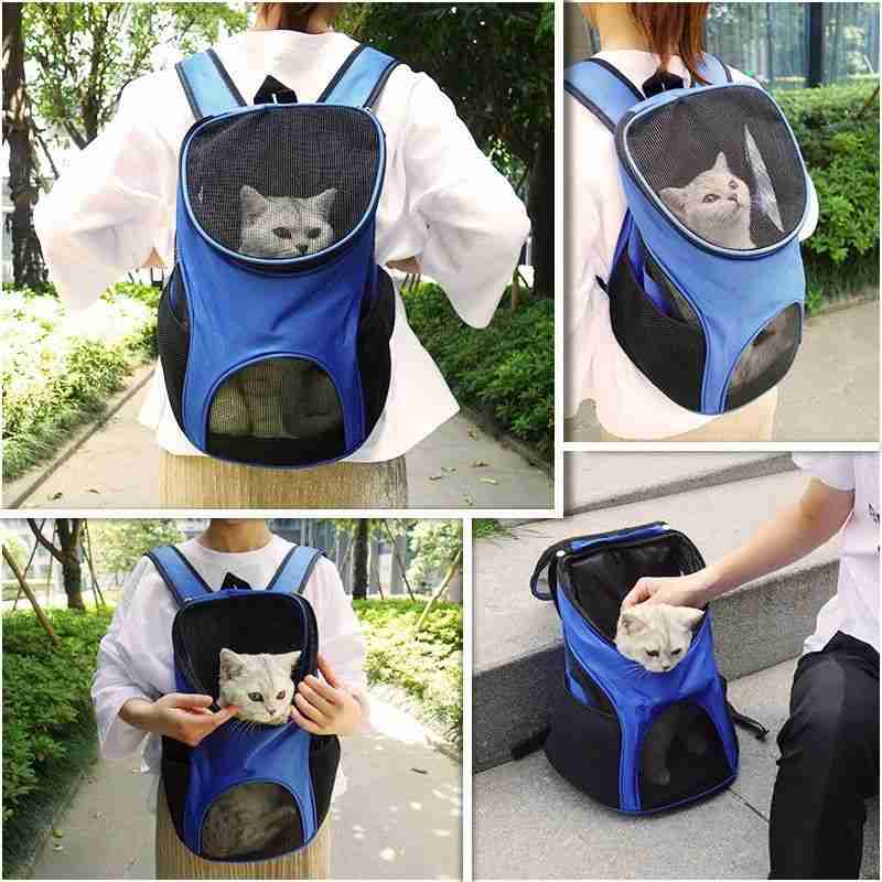 Blue pet backpack with mesh window for cats and small dogs