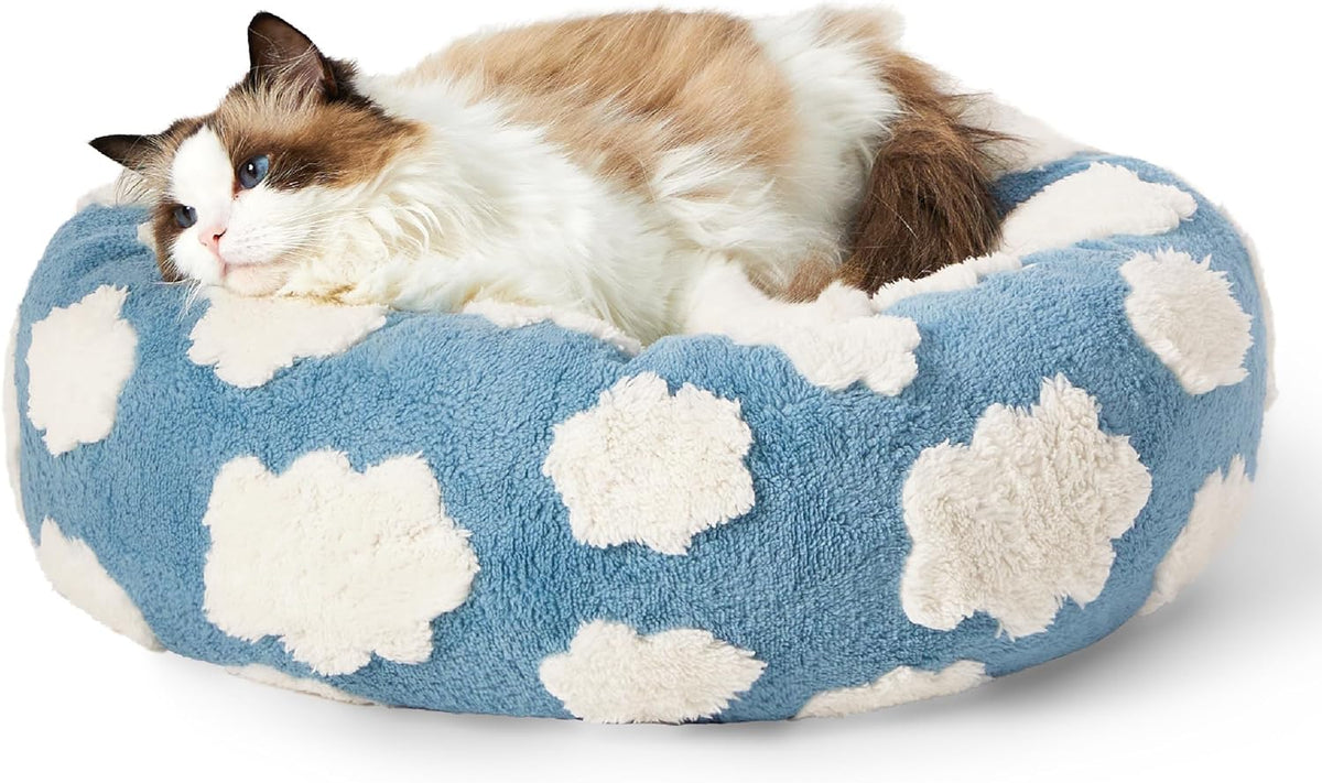 Cat resting in blue and white cloud-patterned pet bed