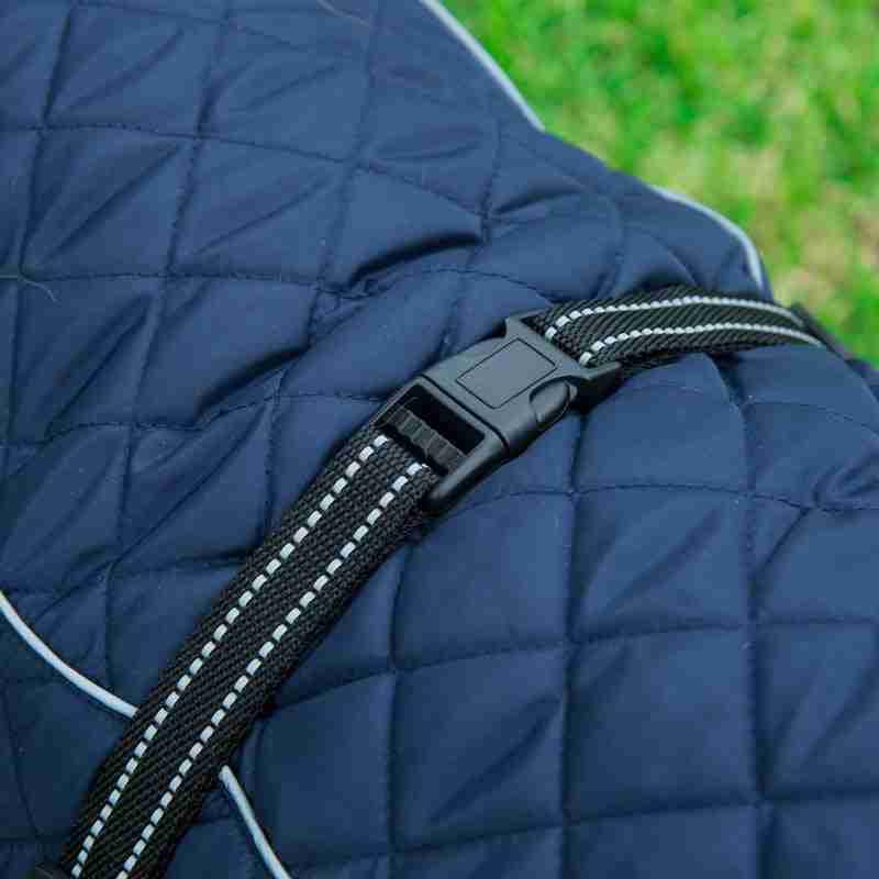 Close-up of dog wearing navy quilted jacket