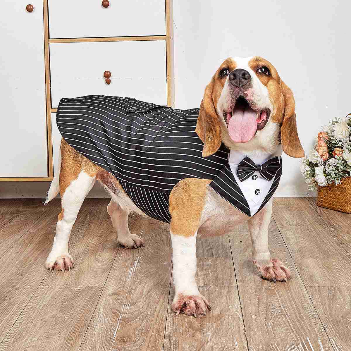 Pet wedding tuxedo suit jacket