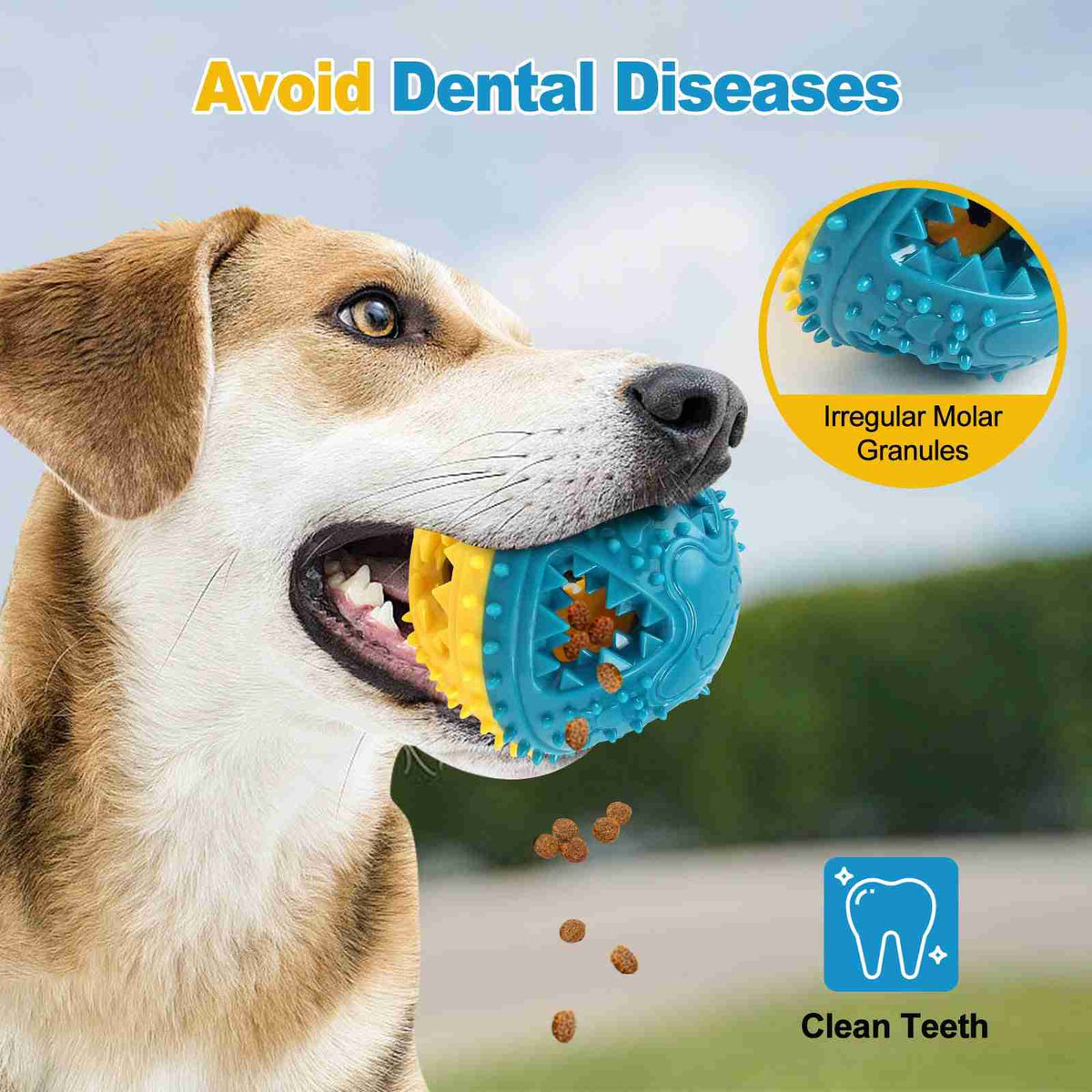 Dog chewing sound ball toy with built-in bell for dental health