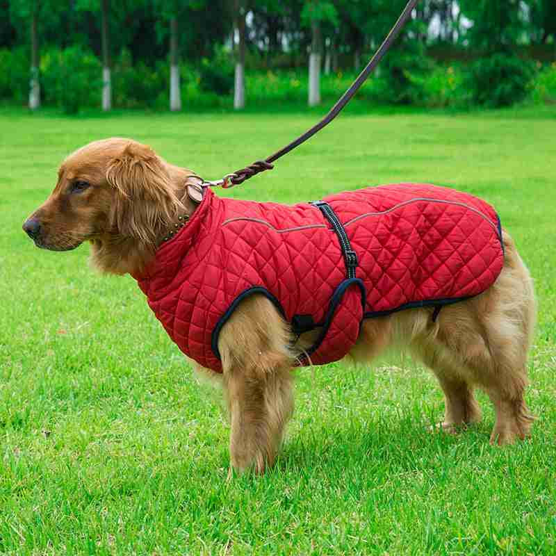 Red quilted pet jacket for dogs