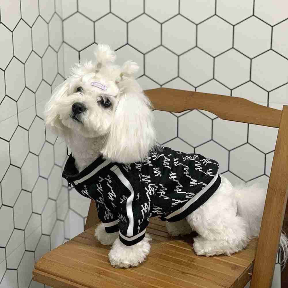 White dog in hoodie
