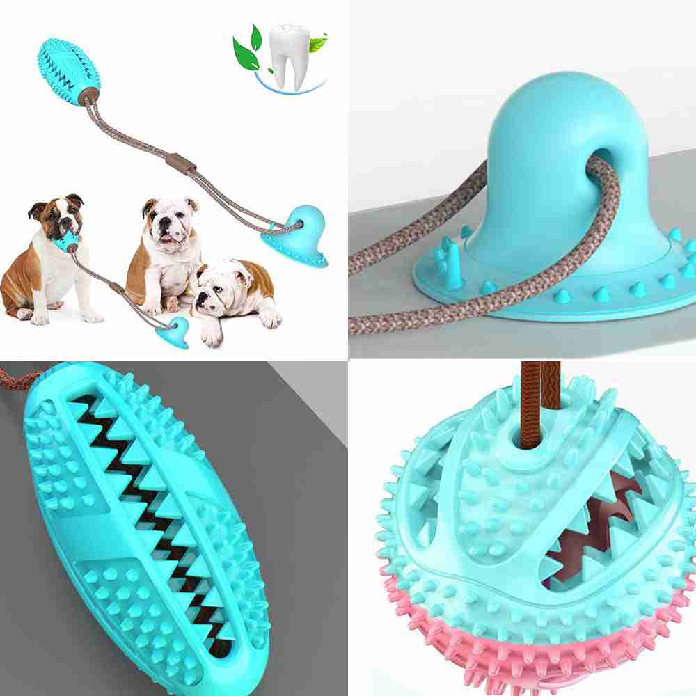 Dog chew toy with textured surface and leash attachment