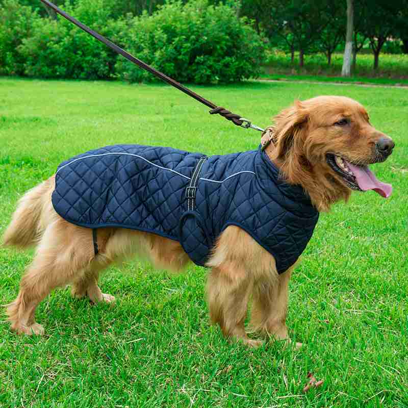 Adjustable Warm Pet Cotton Jacket for dogs