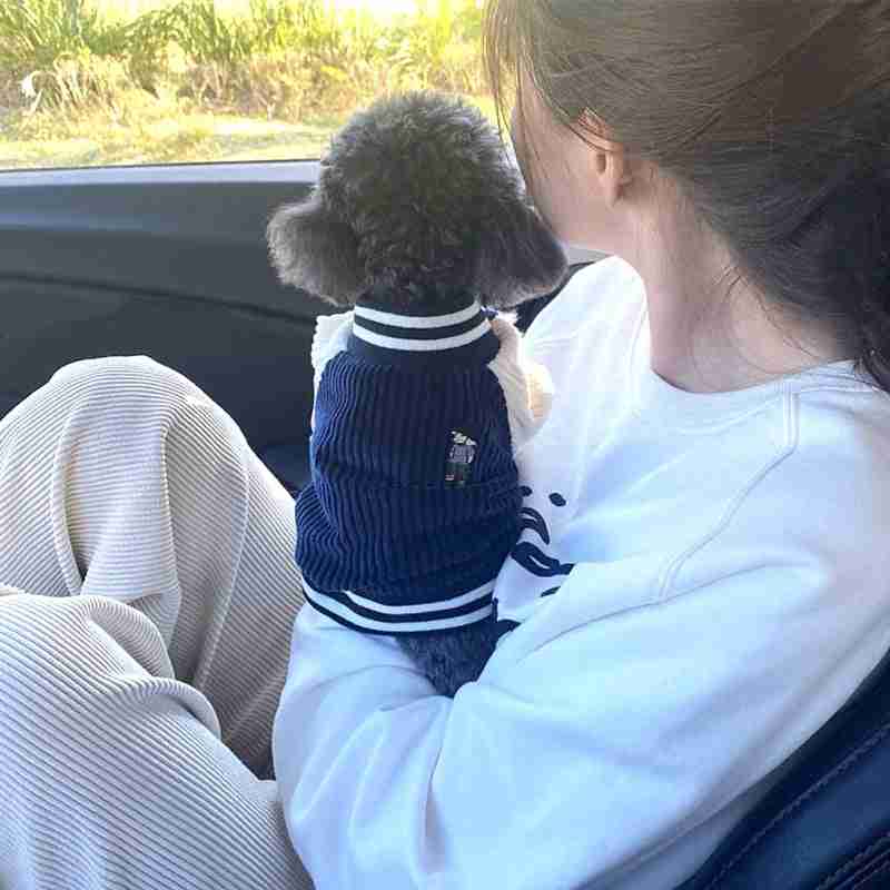 Dog in cozy pet jacket