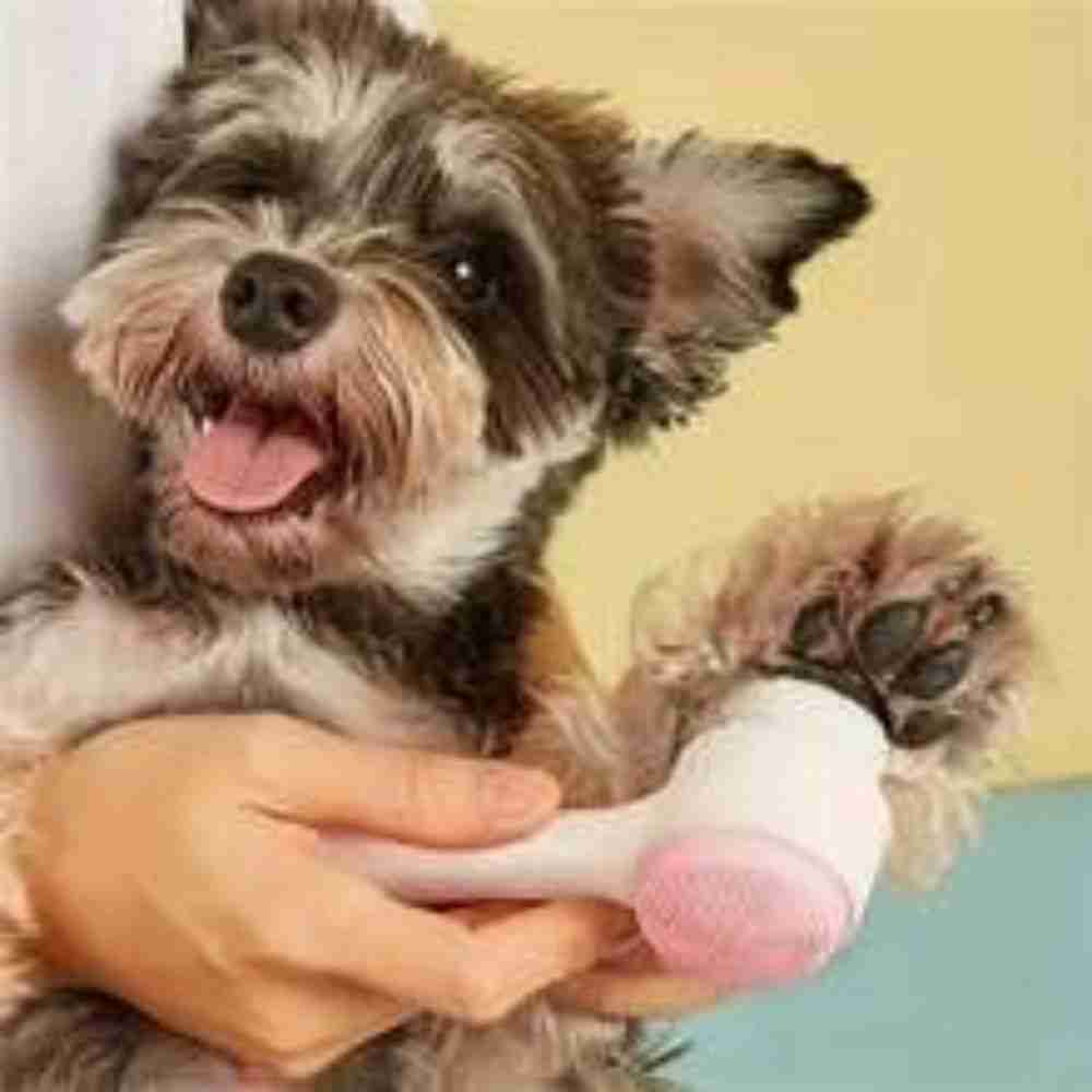 Cute dog with playful expression holding a toy