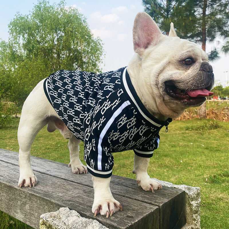 French Bulldog in dog jacket on park bench