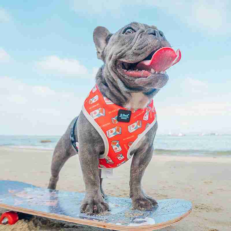 dog chest harness and leash set – adjustable pet harness