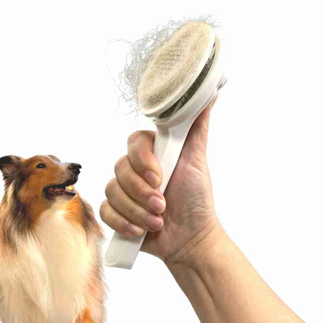 Pet grooming brush removing fur from dog and cat with hand