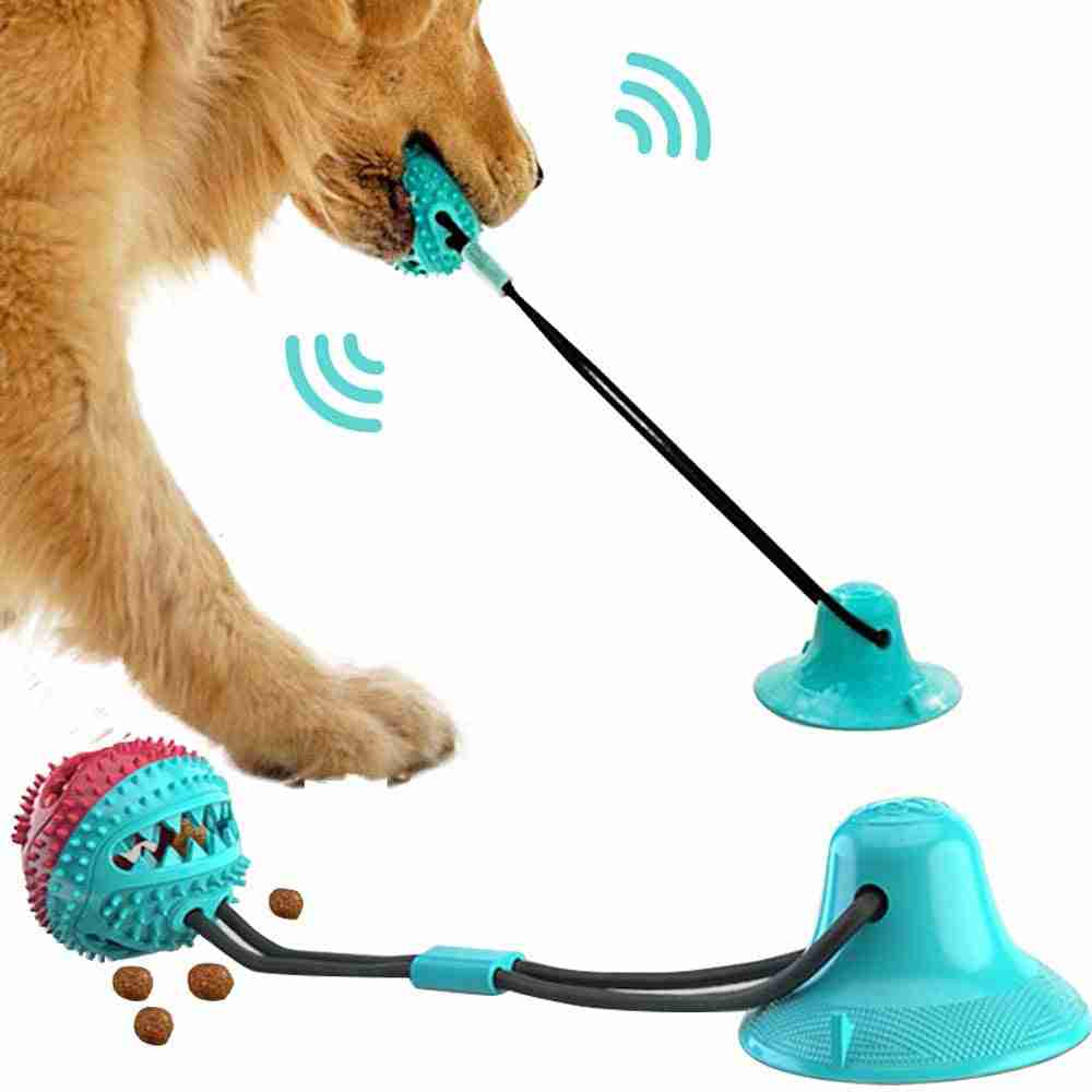 Interactive dog toothbrush toy with suction base and textured surface